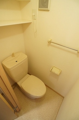 Toilet. It comes with a shelf at the top