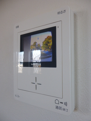 Security. Peace of mind in a TV monitor with intercom