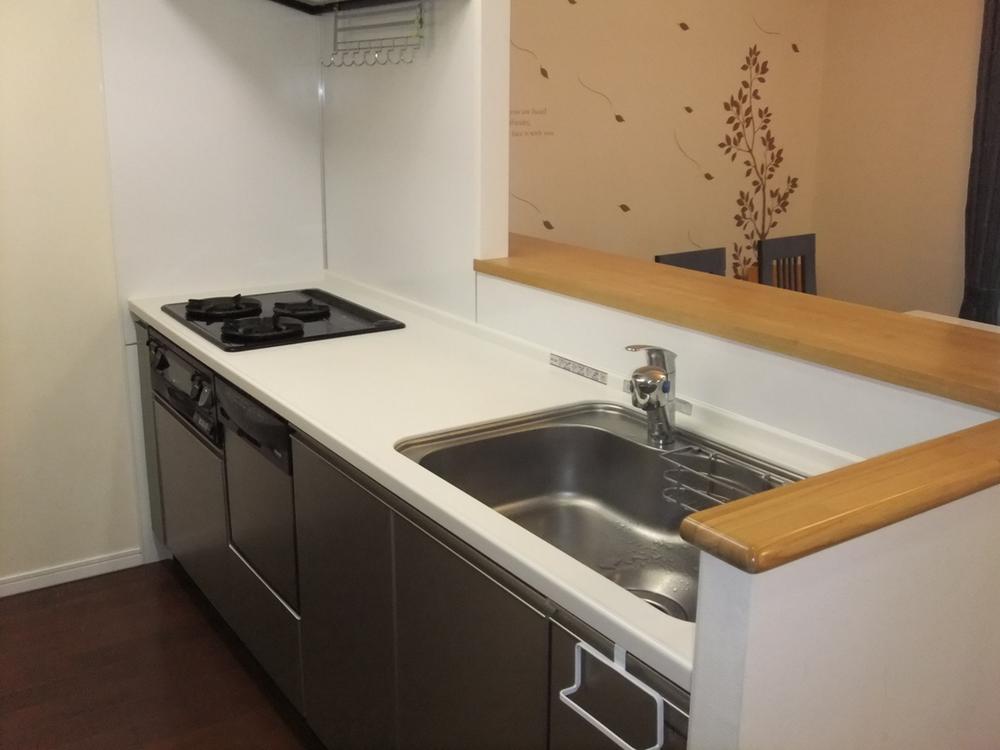 Kitchen. Indoor (10 May 2013) Shooting