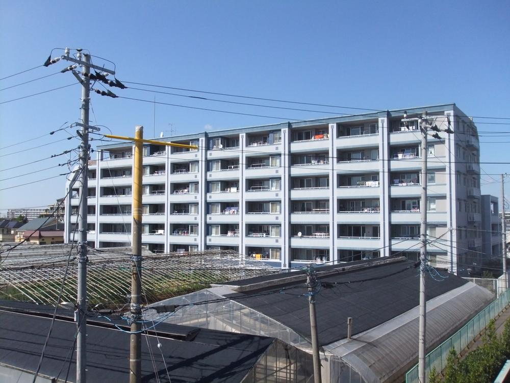 Local appearance photo. Local (10 May 2013) Shooting