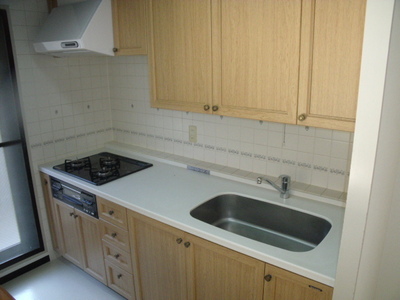 Kitchen. Kitchen of the same specification