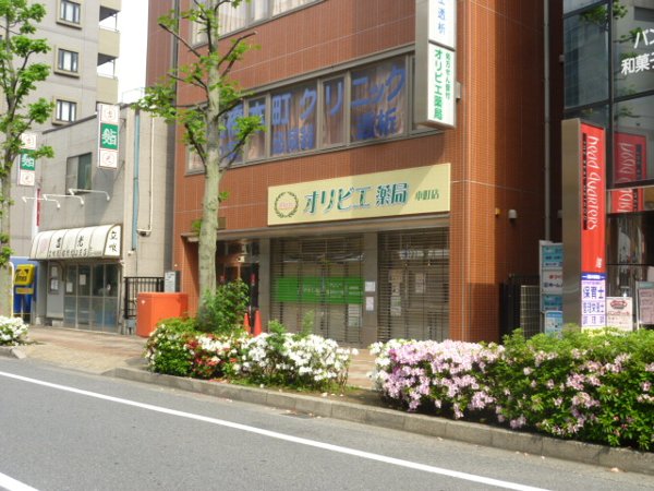 Dorakkusutoa. Kanemata 850m until the pharmacy (drugstore)