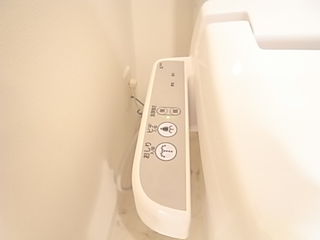 Toilet. Toilet with a bidet