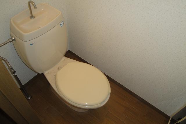 Toilet. It is clean even your toilet