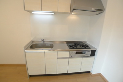 Kitchen. System K (gas three-necked)