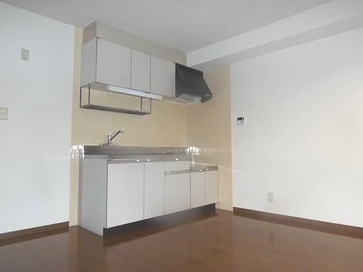 Kitchen. Wide and beautiful kitchen.