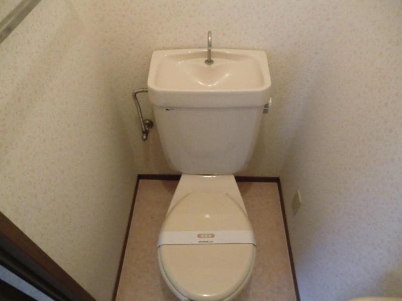 Toilet. Toilets are common type