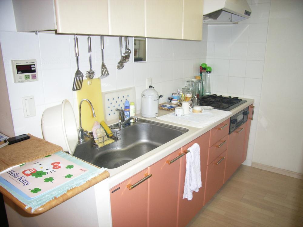 Kitchen. Indoor (10 May 2013) Shooting