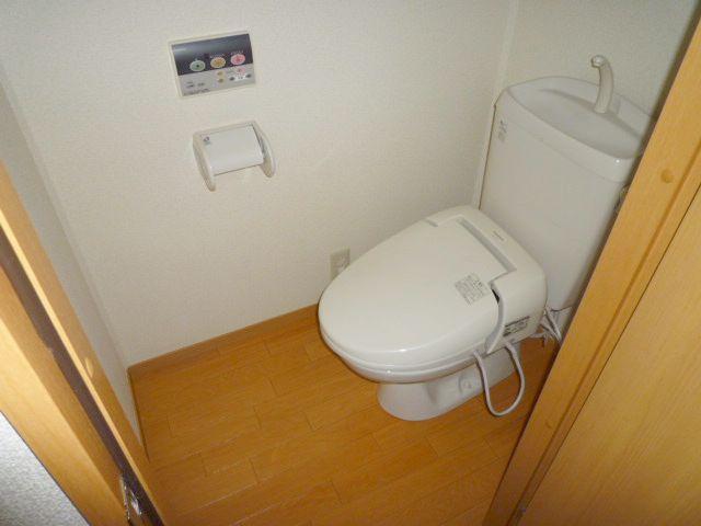 Toilet. Very clean toilet.