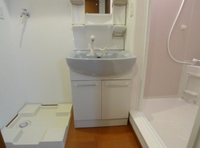 Washroom. Shampoo dresser