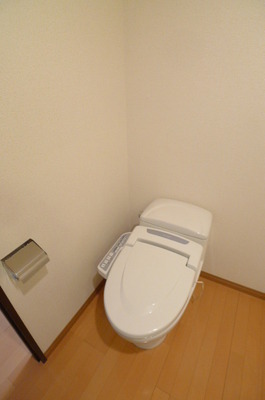 Toilet. Warm water washing toilet seat