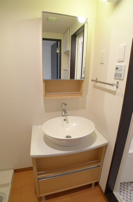 Washroom. Bathroom vanity