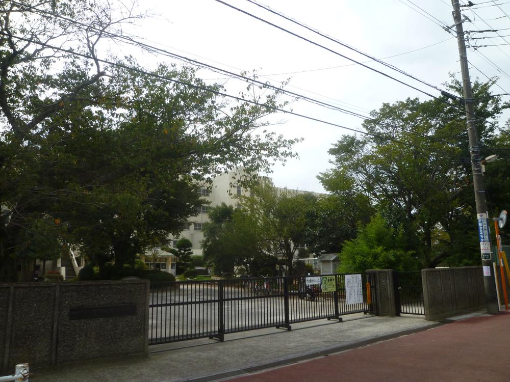 Primary school. Yakuendai Minami Elementary School From local about 40m (1 minute walk)