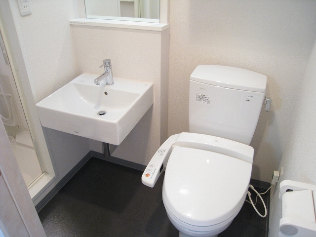 Washroom. It is of course bidet in fashionable washstand