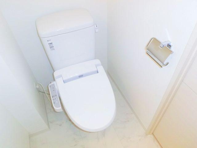 Toilet. Toilet with a bidet