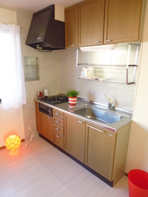 Kitchen. The model room specification.