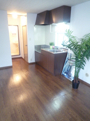 Kitchen. Bright kitchen space to insert the light!