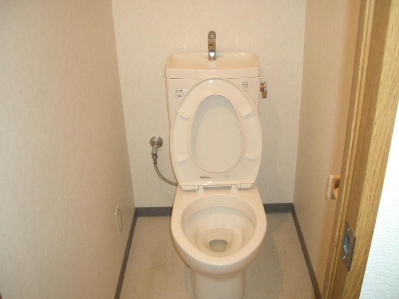 Toilet. Restroom space to settle down is attractive