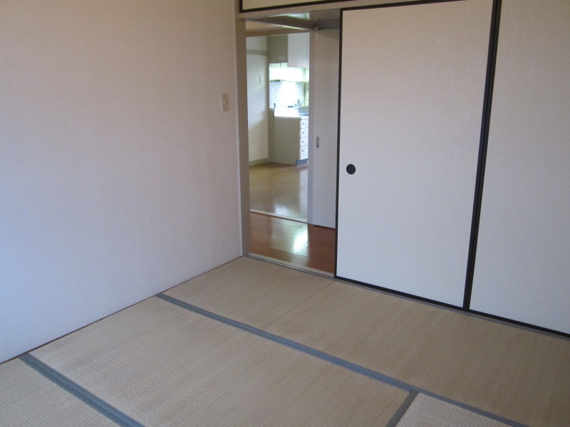 Other room space. Japanese style room