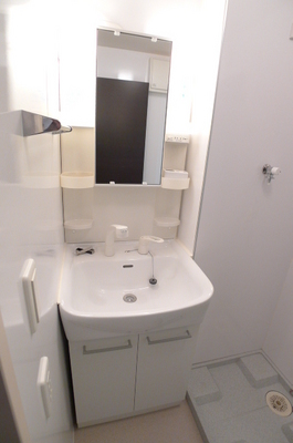 Washroom. Bathroom vanity