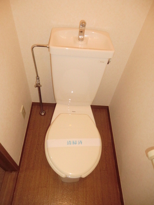 Toilet. Toilet with cleanliness