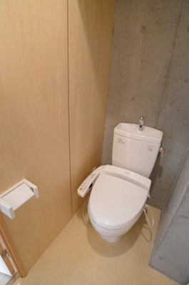 Toilet. Warm water washing toilet seat