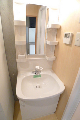 Washroom. Bathroom vanity