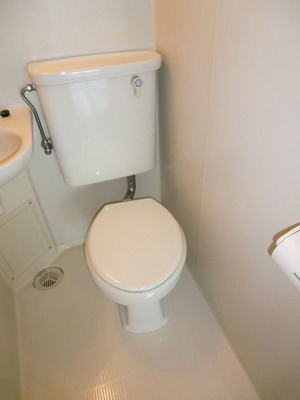 Toilet. Western-style toilet