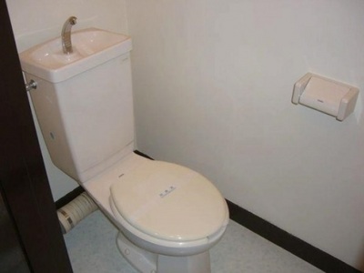 Toilet. It is an ordinary toilet.