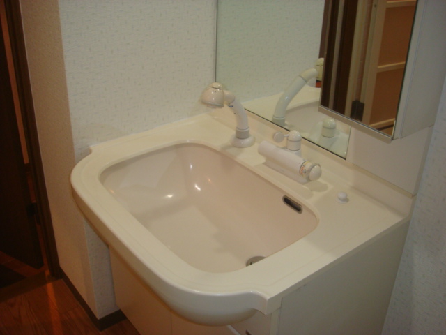 Other. Shampoo Dresser equipped is a washbasin! 