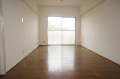 Living and room. Spacious LD