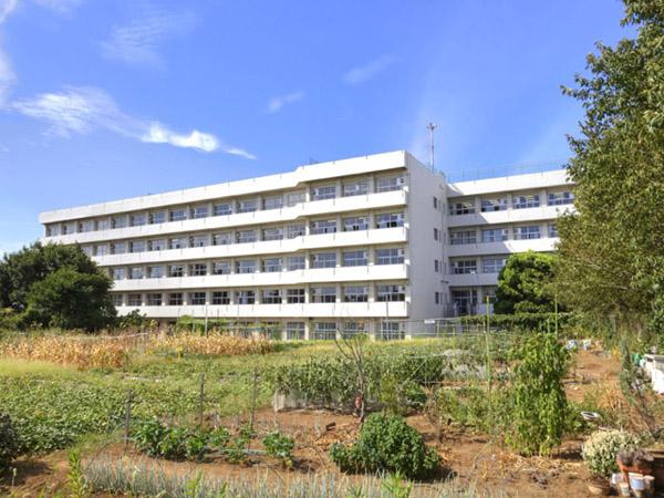 Primary school. 720m to Funabashi Municipal Oanakita Elementary School