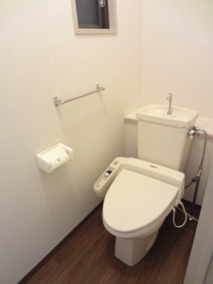 Toilet. Bidet with function