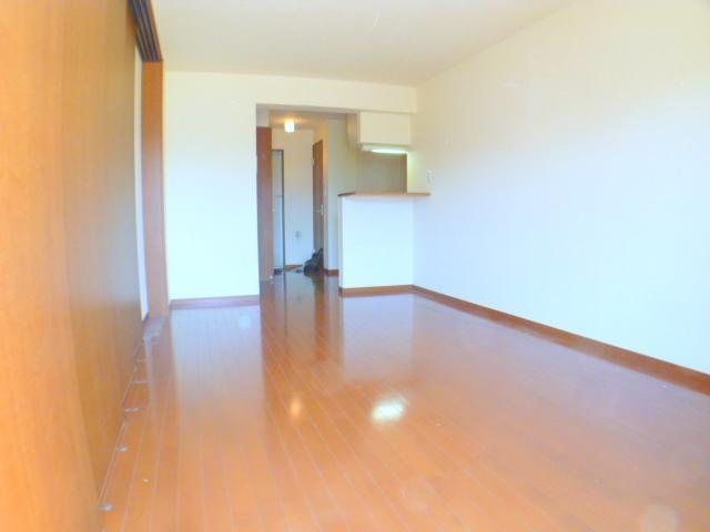 Living and room. Spacious LDK