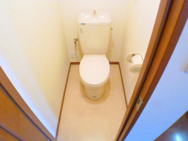 Toilet. During the renovation to clean toilets