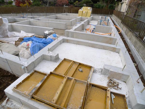 Local appearance photo. 2013 / 11 / 28 shooting