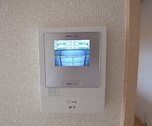 Security. It is safe in the intercom with monitor