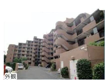 Local appearance photo. Local (2013 July) shooting