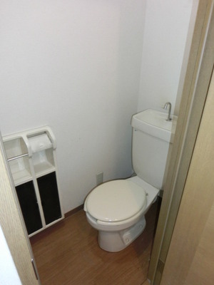 Toilet. It is a Western-style toilet