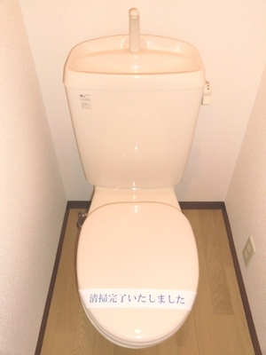 Toilet. It is a beautiful toilet