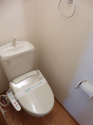 Toilet. Bidet function with toilet