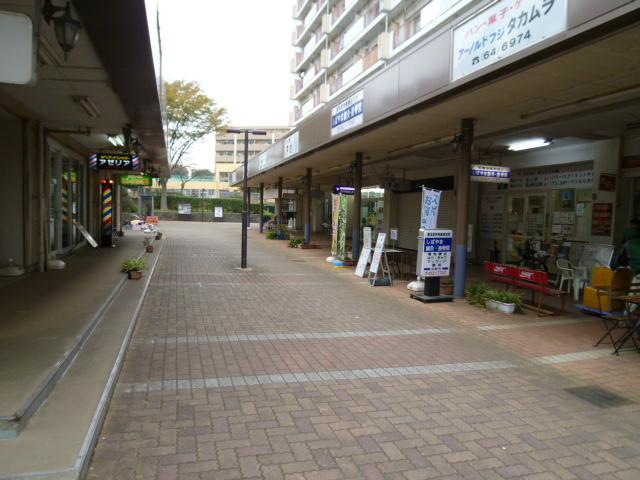 Other local. Shibayama park mall