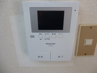 Security. Monitor with intercom