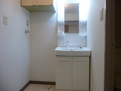 Washroom. Shampoo dresser