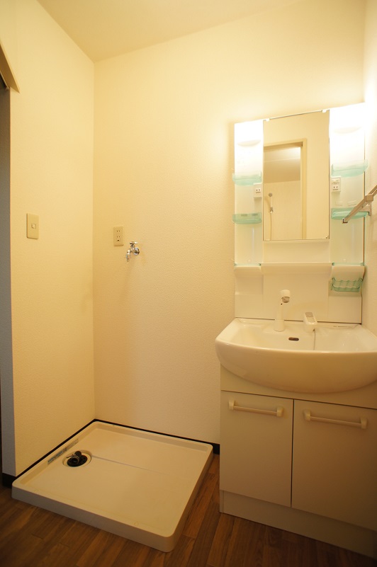 Washroom. Shampoo dresser and Laundry Area