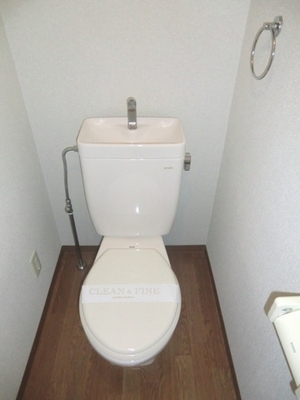 Toilet. Toilet