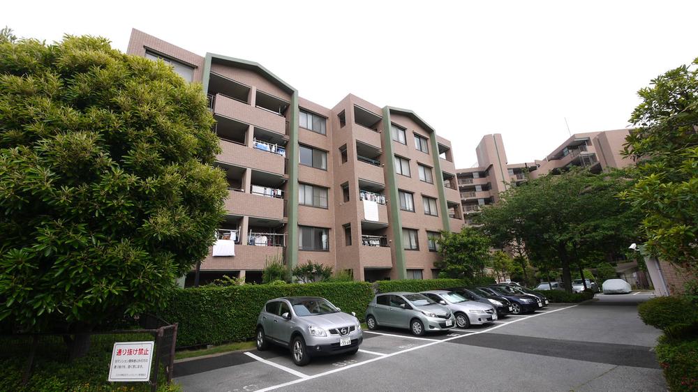 Local appearance photo. Local (11 May 2013) Shooting