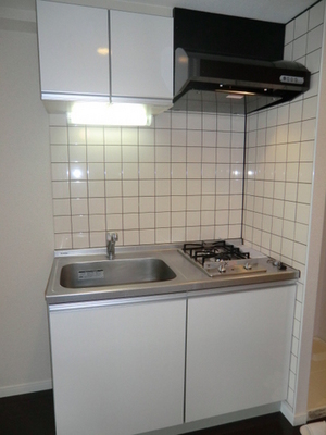 Kitchen. Two-burner stove system Kitchen