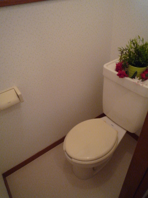 Toilet