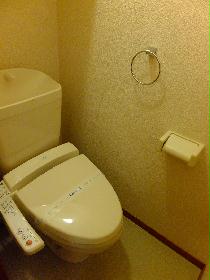 Toilet. With Washlet